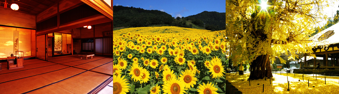 自然・花【見る・感じる】