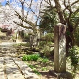 竹屋観音寺