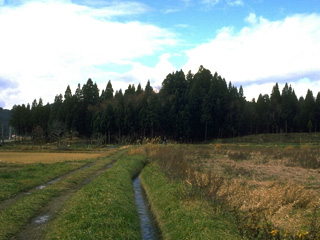 青山城跡