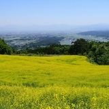 三ノ倉高原花畑