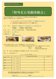 🔨野外化石発掘体験会🔨
