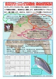 🐋化石クリーニング体験会 参加者募集🐋