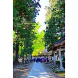 🍂新宮熊野神社長床ライトアップ中止について🍂