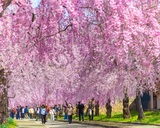 📷蔵のまち喜多方観光写真コンテスト【インスタグラム部門】入賞作品発表!!📷 📷蔵のまち喜多方観光写真コンテスト【インスタグラム部門】入賞作品発表!!📷